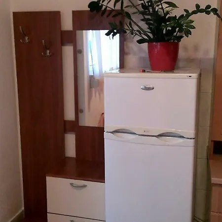 Studio Apartman Nena شقة